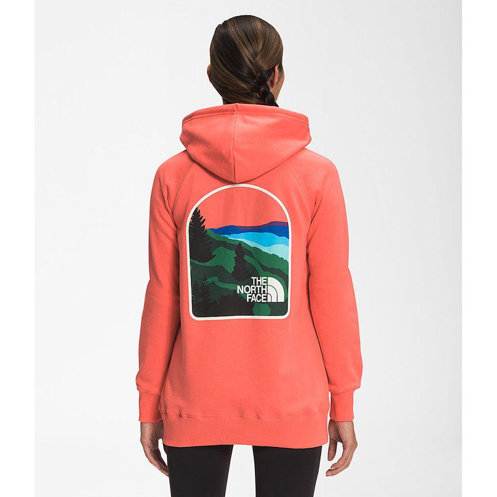 The North Face Parks Pullover Γυναικεια Φούτερ Hoodie - Πορτοκαλι (CKUD18642)